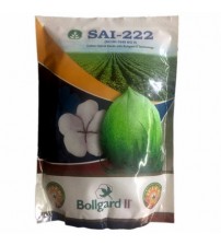 Cotton Sai 222 BG II